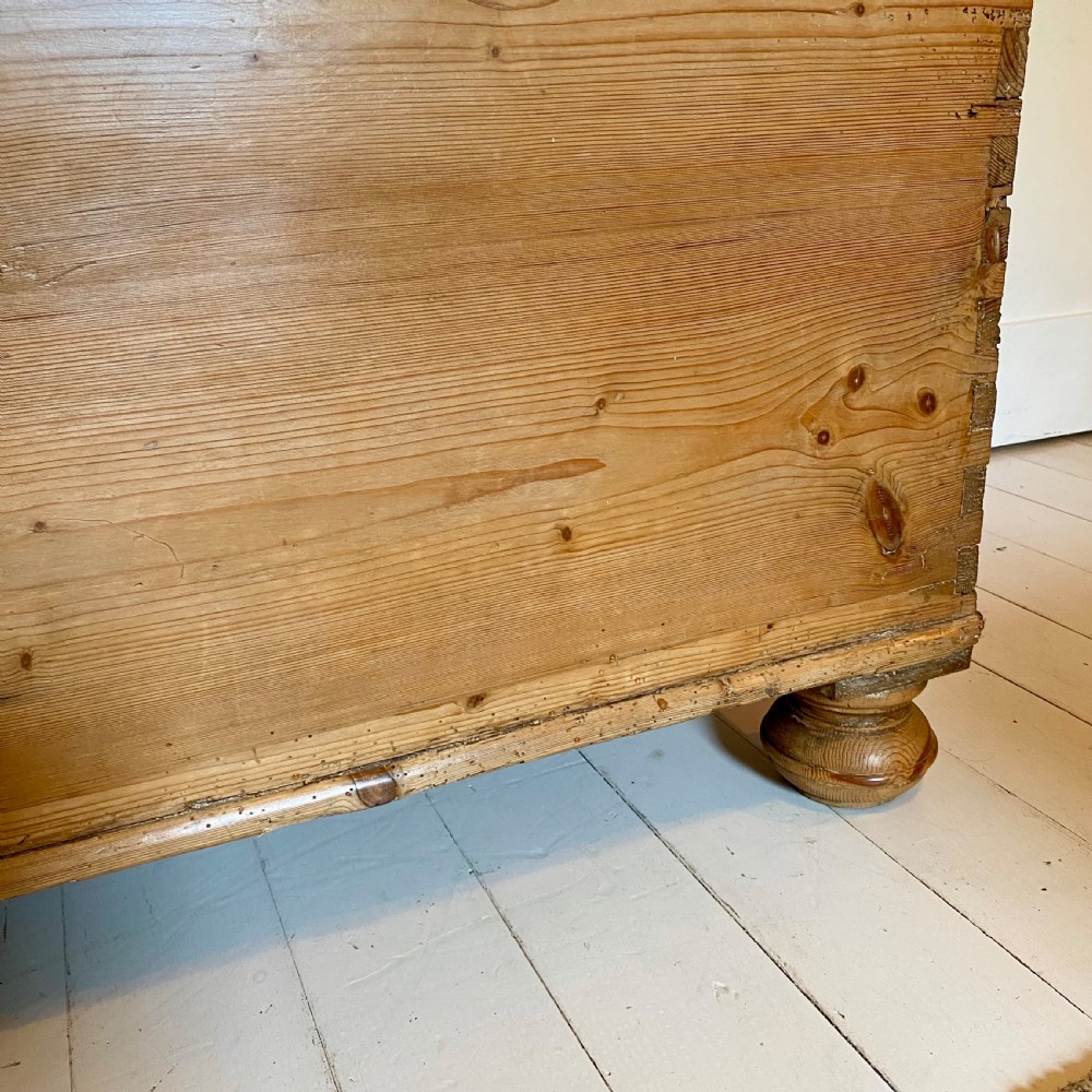 19th century pine trunk View VI