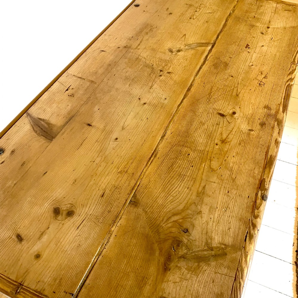 19th century pine trunk View IX
