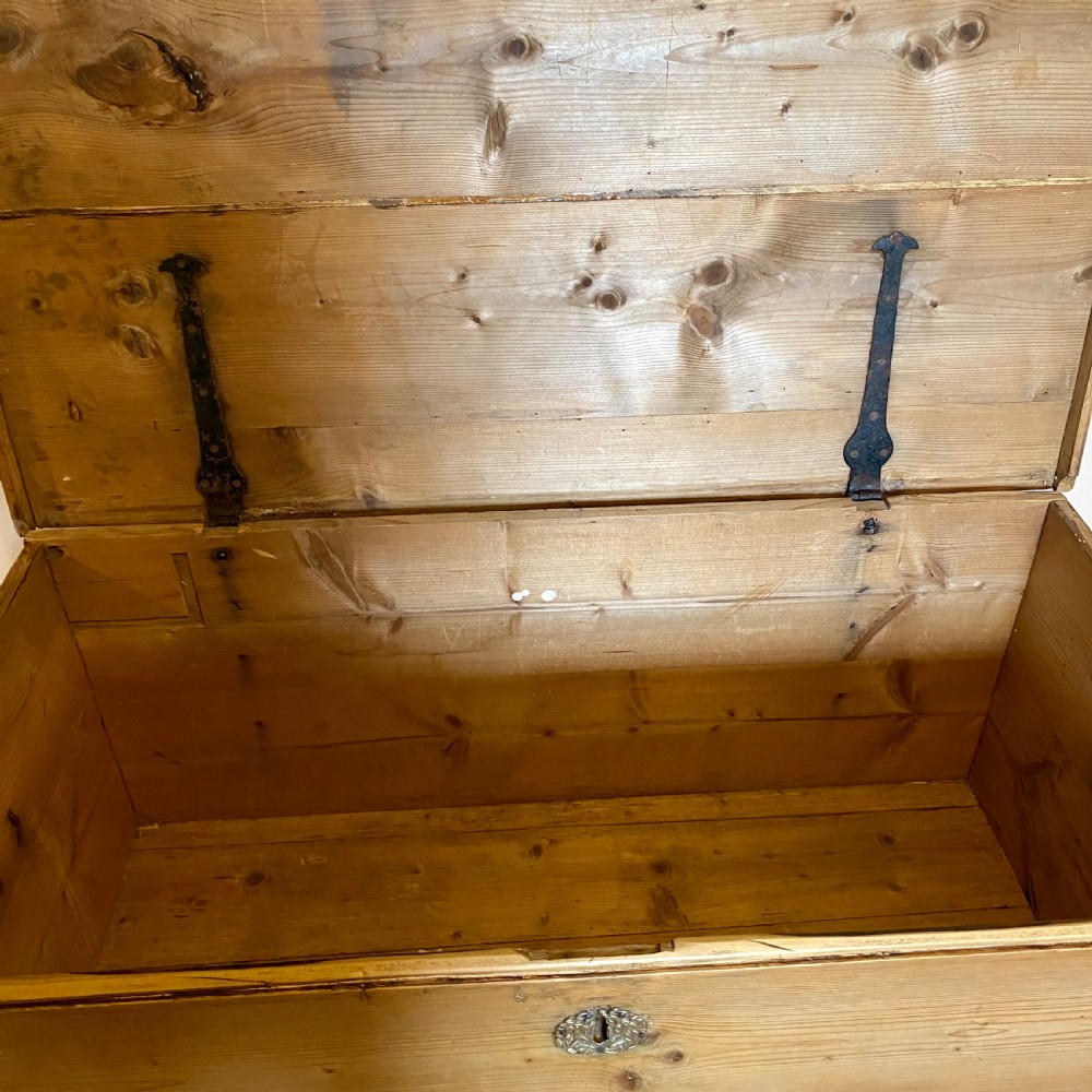 19th century pine trunk View X