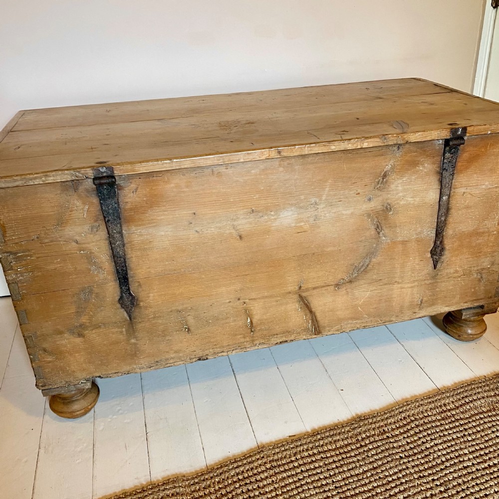 19th century pine trunk View XII