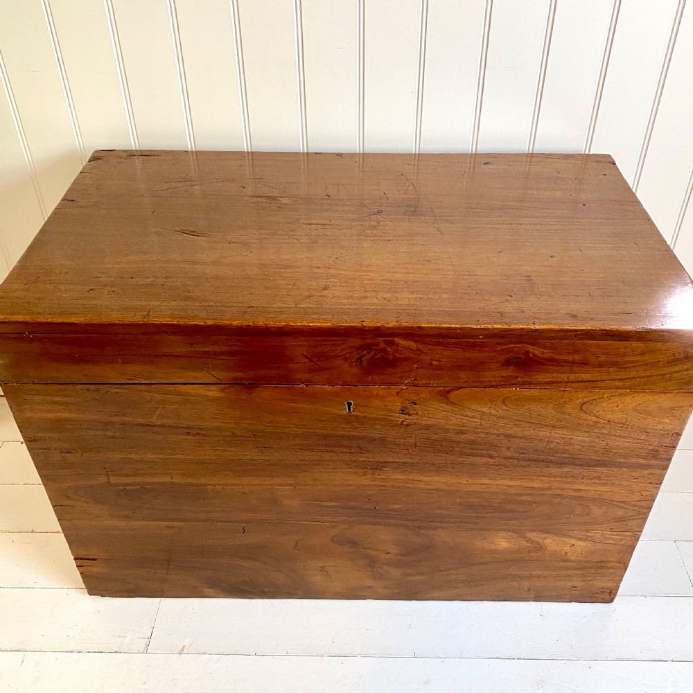 19th century mahogany trunk View VI