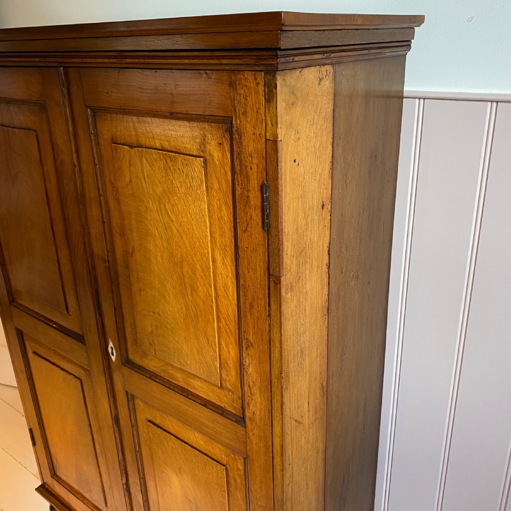 19th century walnut cupboard  View VII