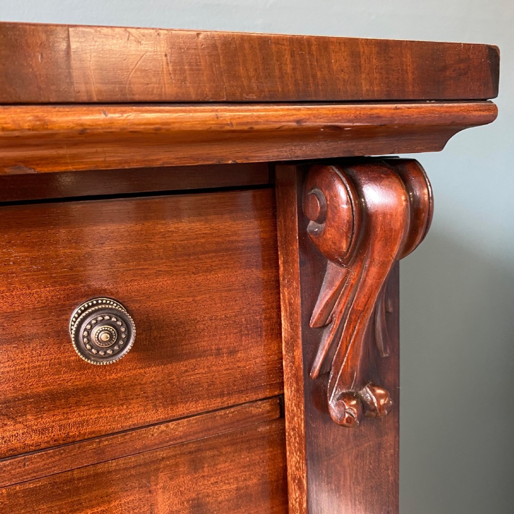 19th century mahogany Wellington chest View IV