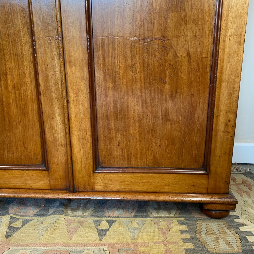 19th century mahogany cupboard View II