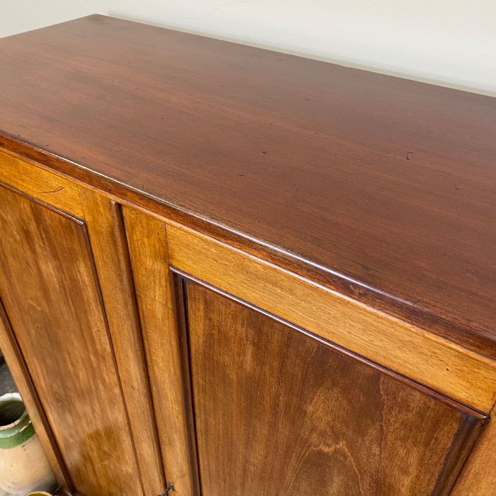 19th century mahogany cupboard View III