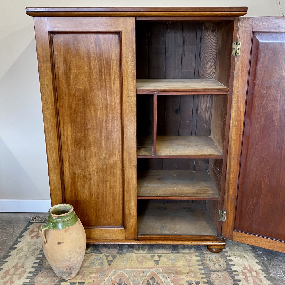 19th century mahogany cupboard View IV