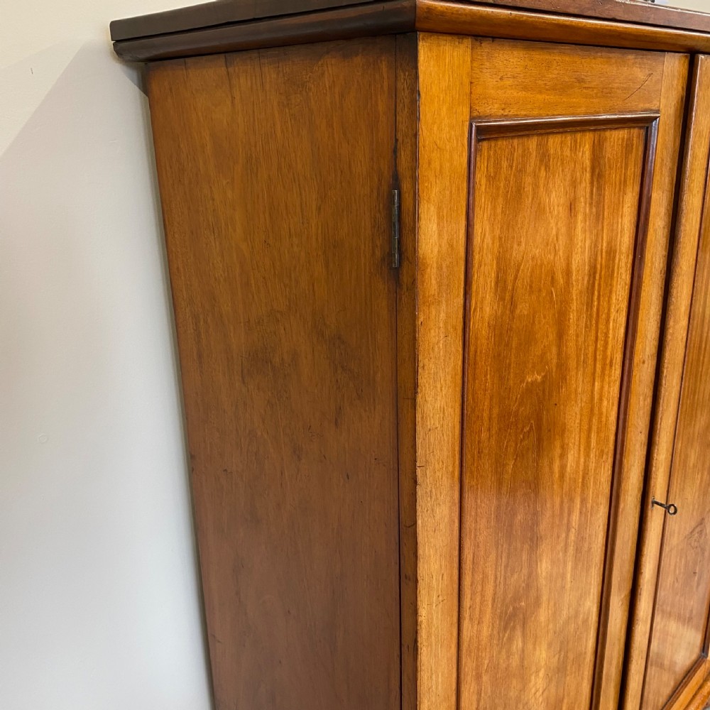 19th century mahogany cupboard View VI