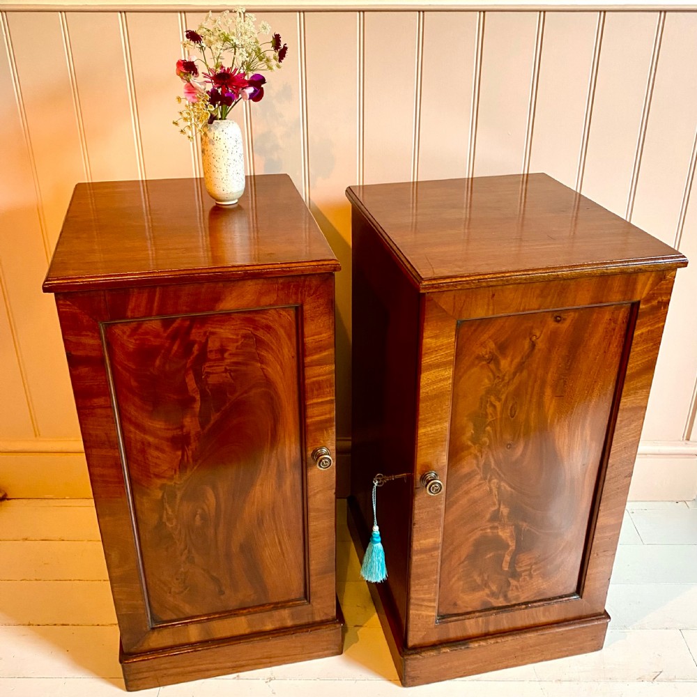 19th century mahogany bedside cupboards 
