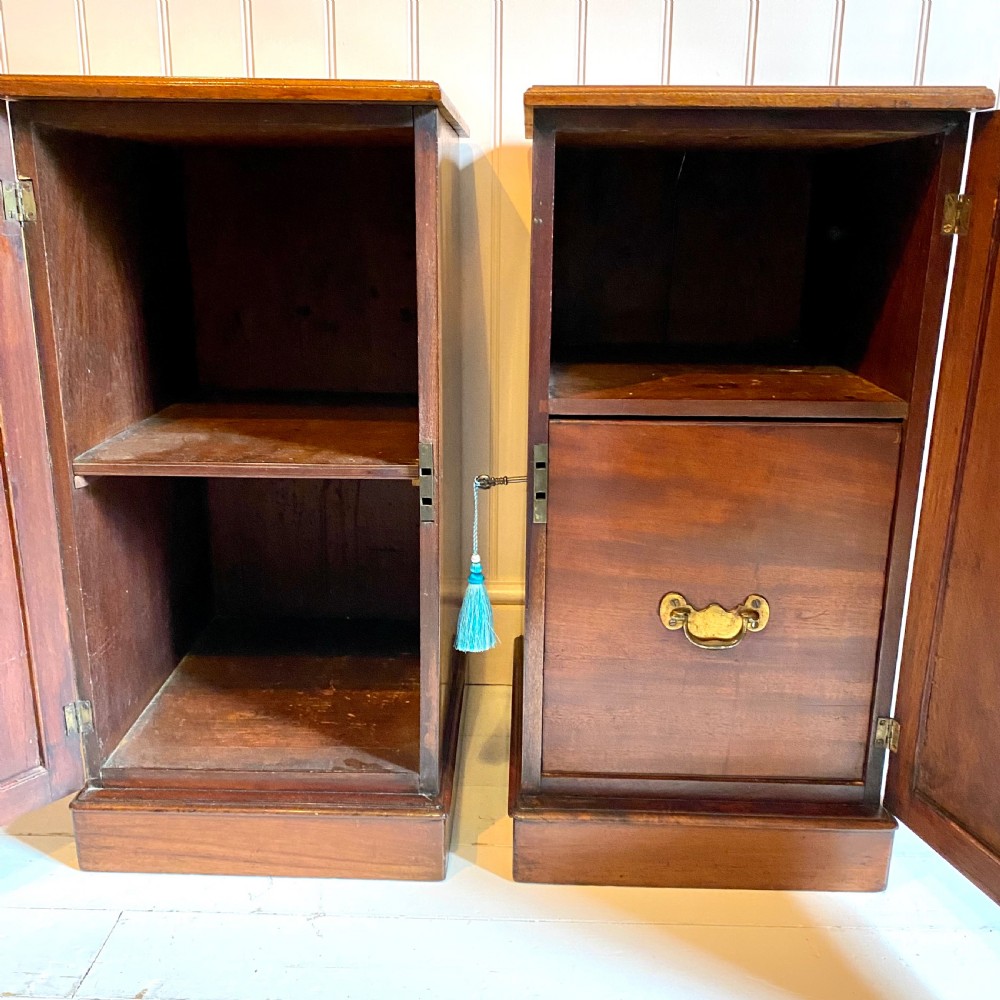 19th century mahogany bedside cupboards  View XII