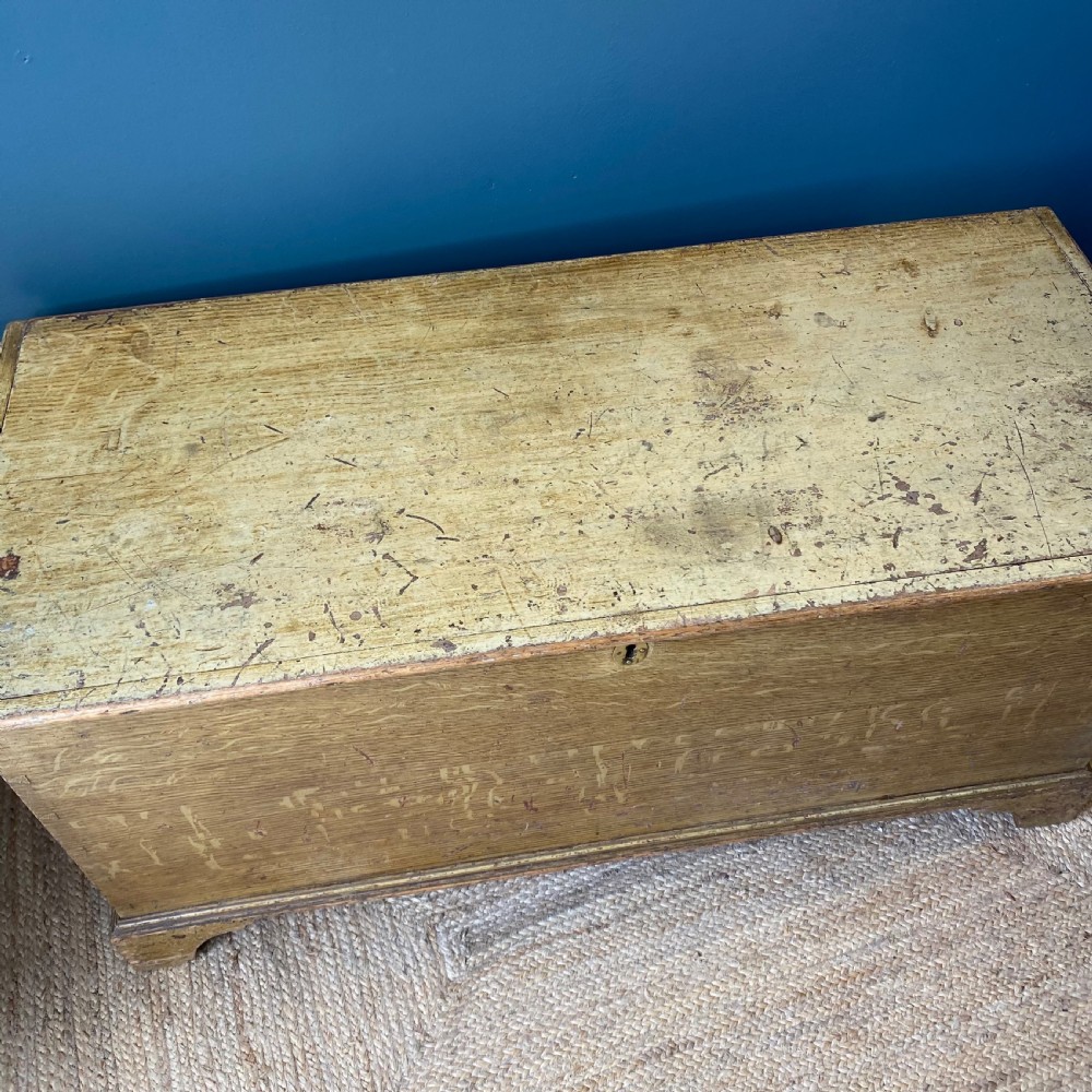 19th century painted pine trunk View VI