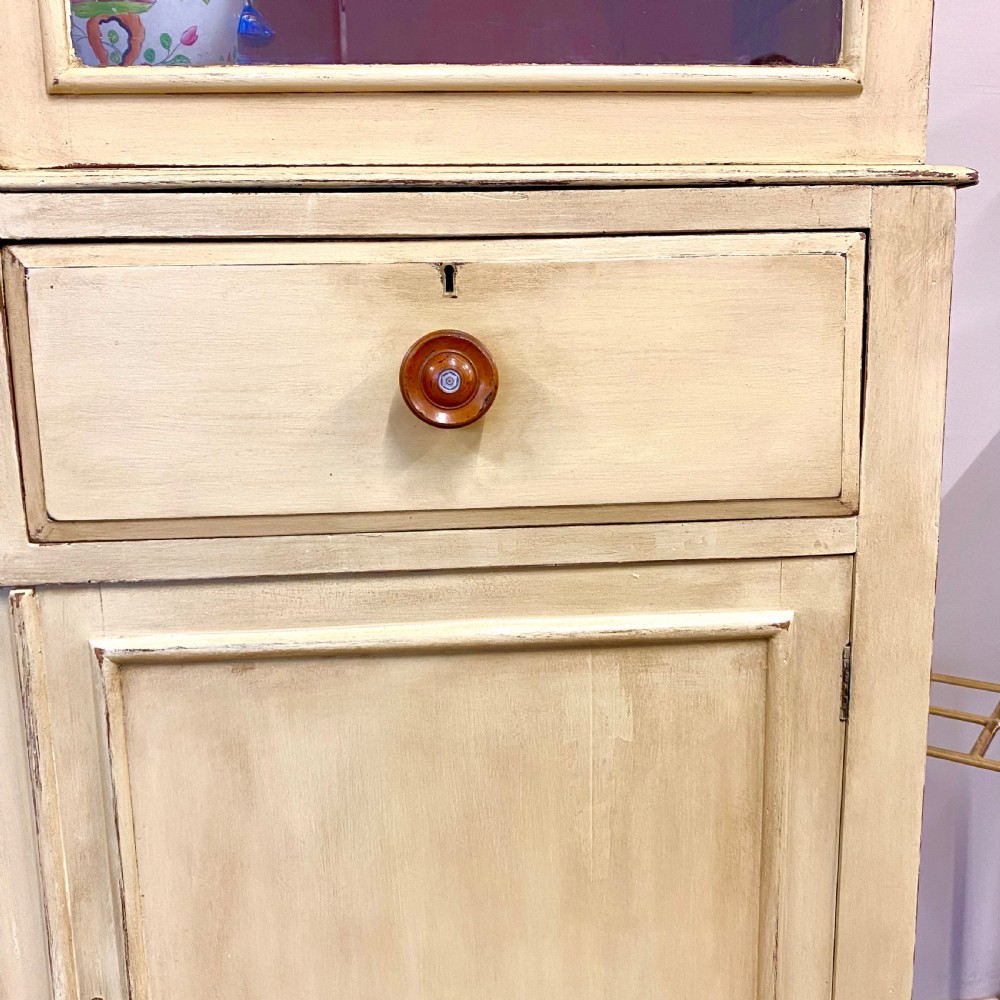 19th century painted glazed bookcase View III