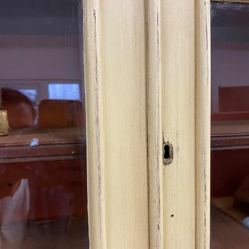 19th century painted glazed bookcase View VIII