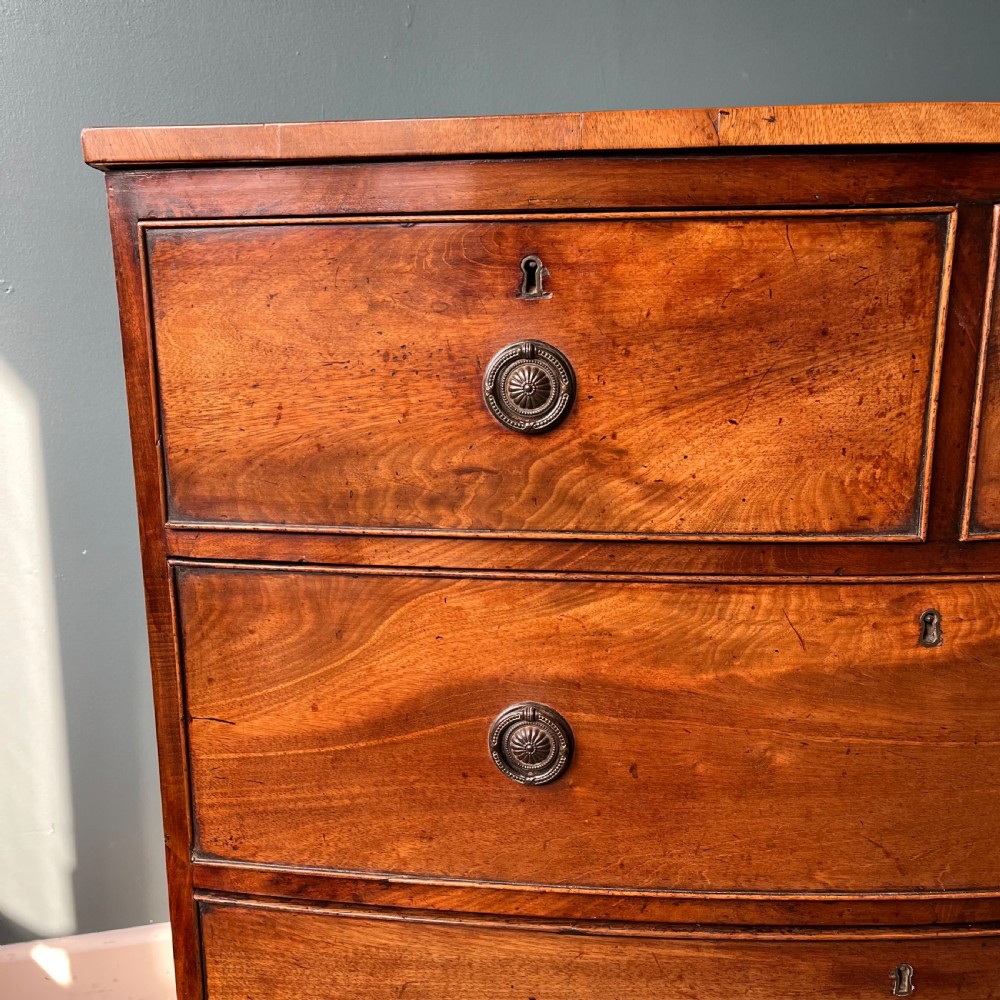 Regency mahogany bow front chest of drawers  View III