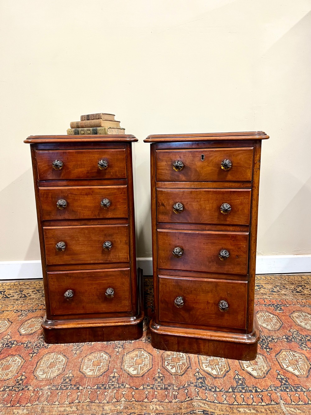 Pair of 19th century mahogany bedside chests