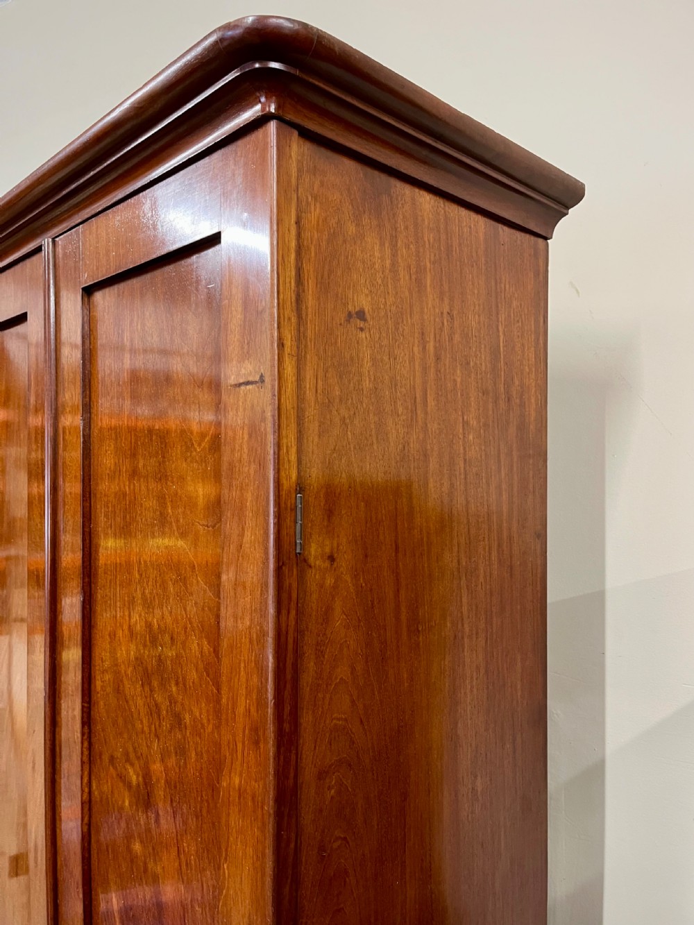 Mahogany hall cupboard View VIII