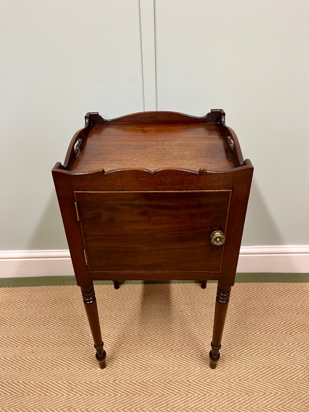 19th century mahogany bedside pot cupboard View III