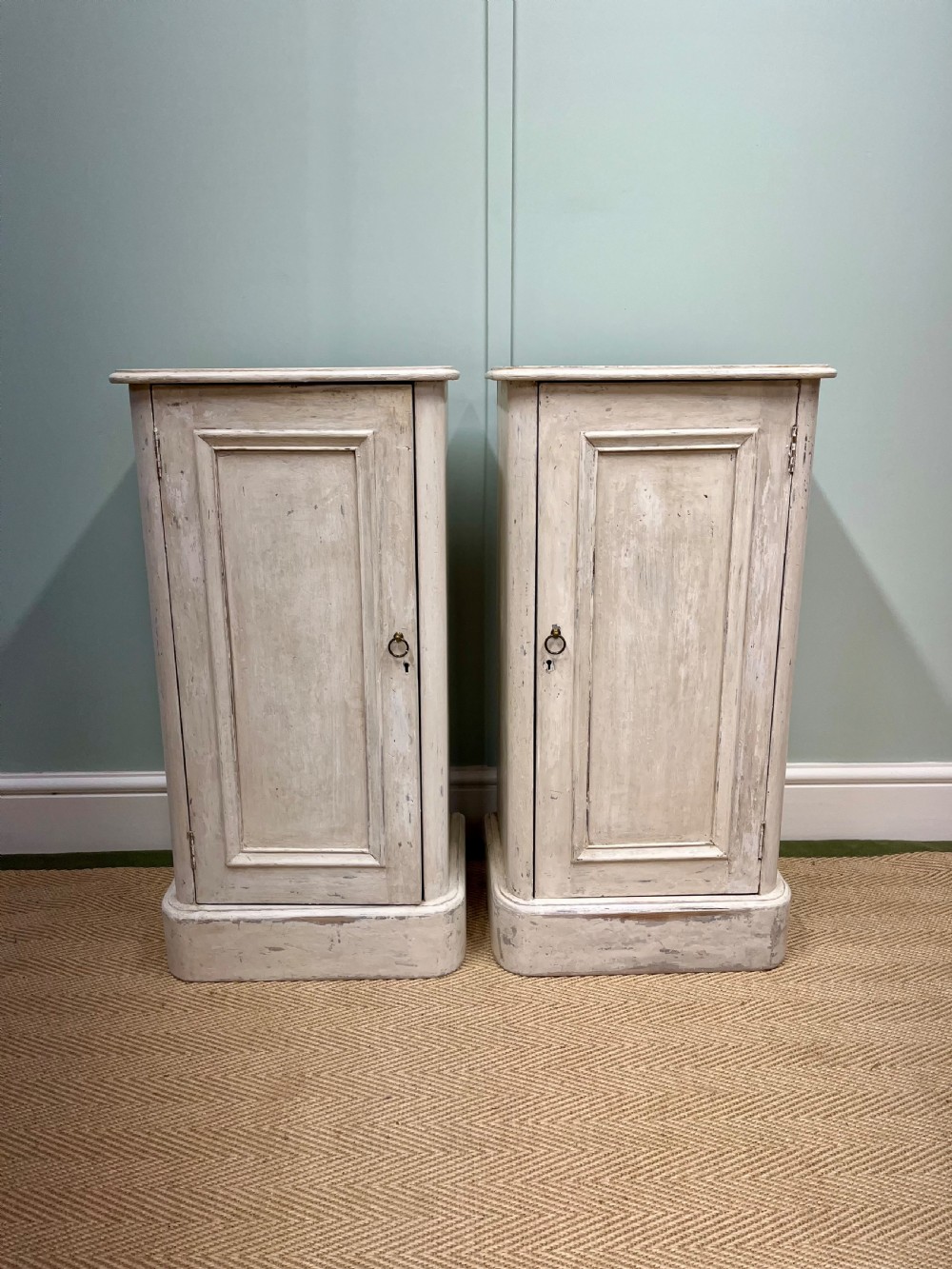 19th century pair of painted bedside cupboards View II