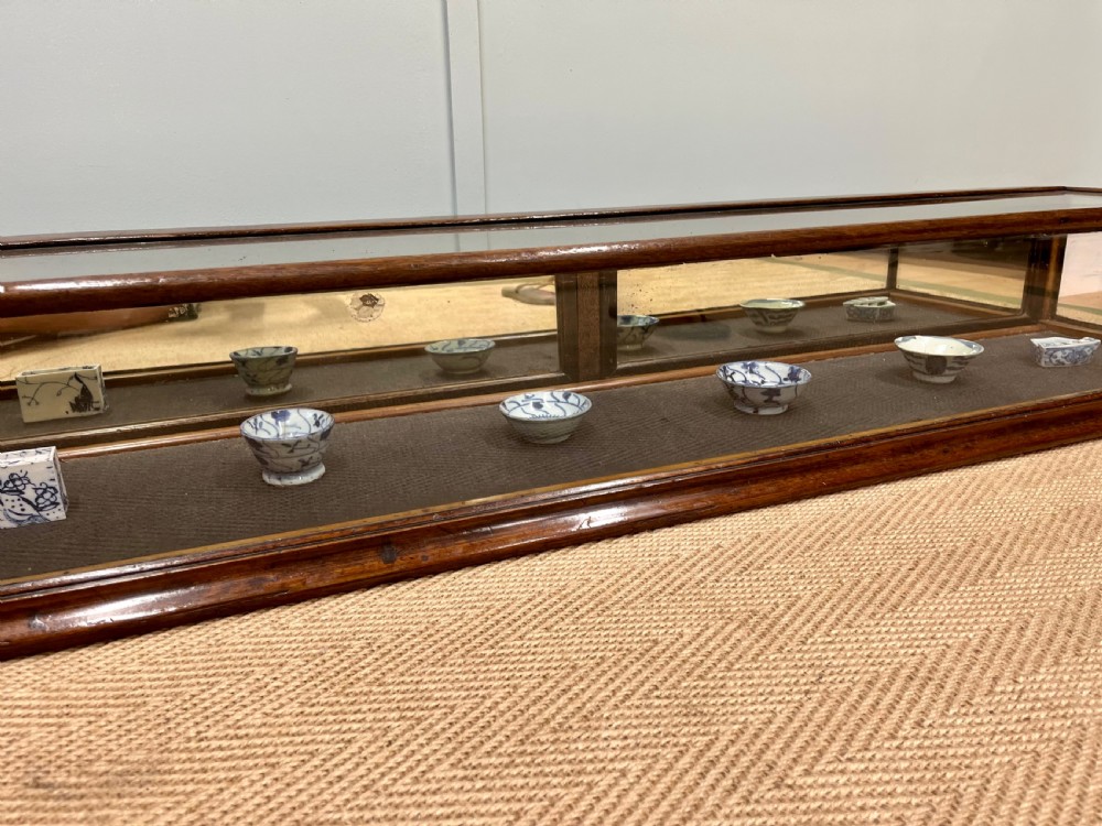 A long, low Victorian mahogany and glass tabletop display case with a moulded base and glazed panels. View VIII
