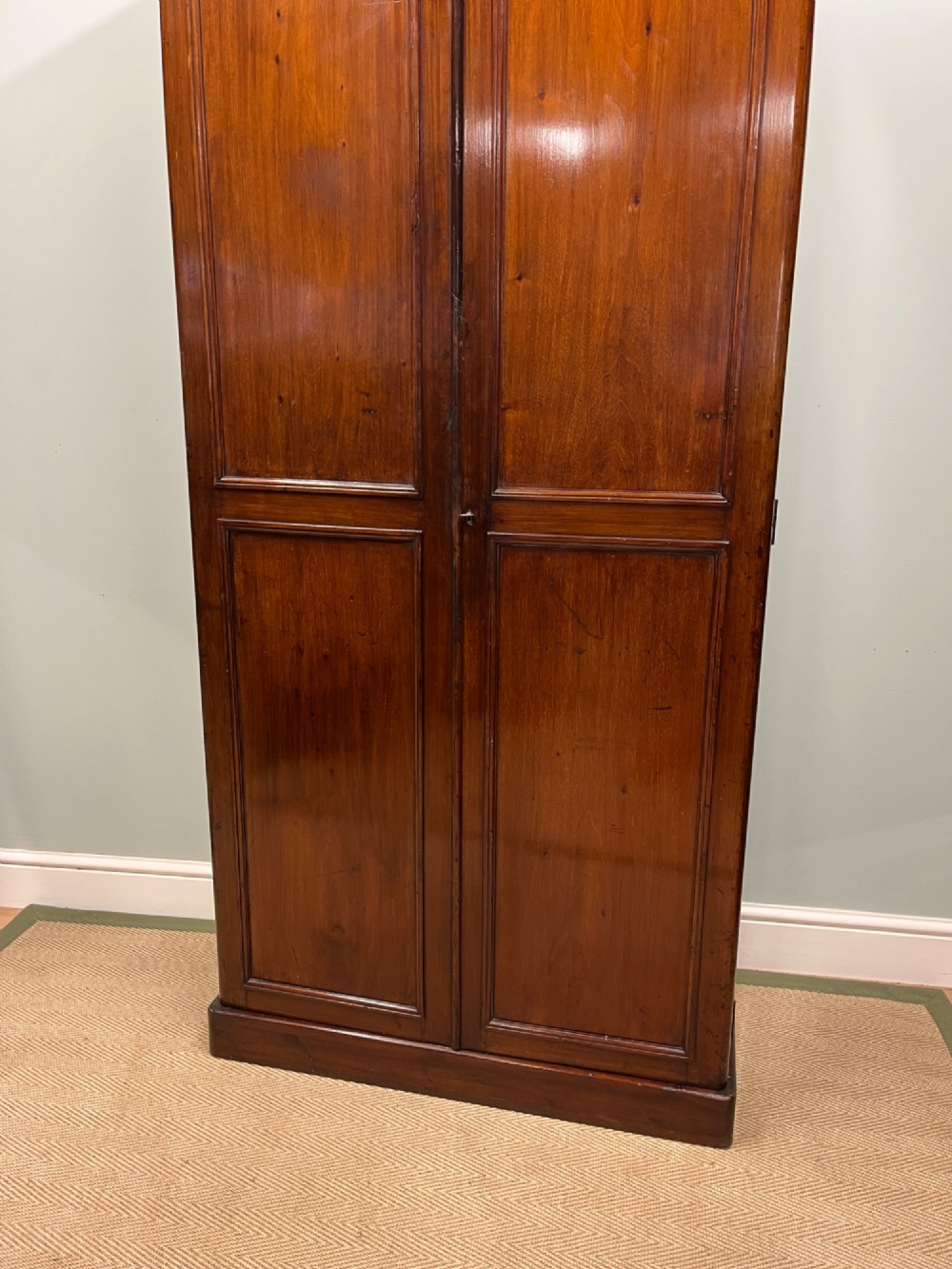 A tall, slim 19th-century mahogany cupboard featuring twin panelled doors and a solid plinth base.