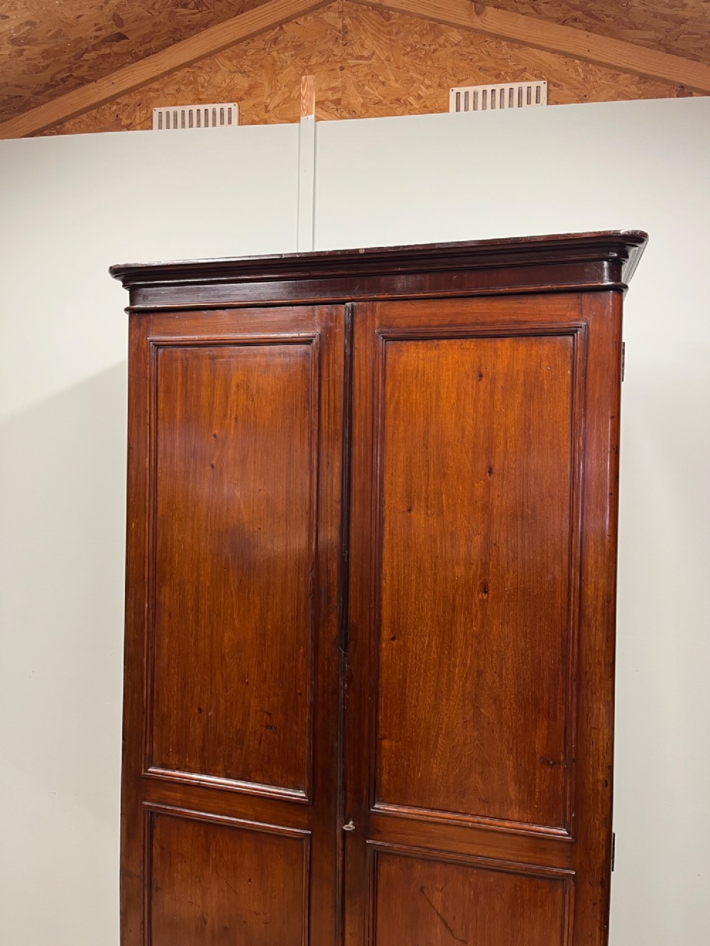 A tall, slim 19th-century mahogany cupboard featuring twin panelled doors and a solid plinth base. View II