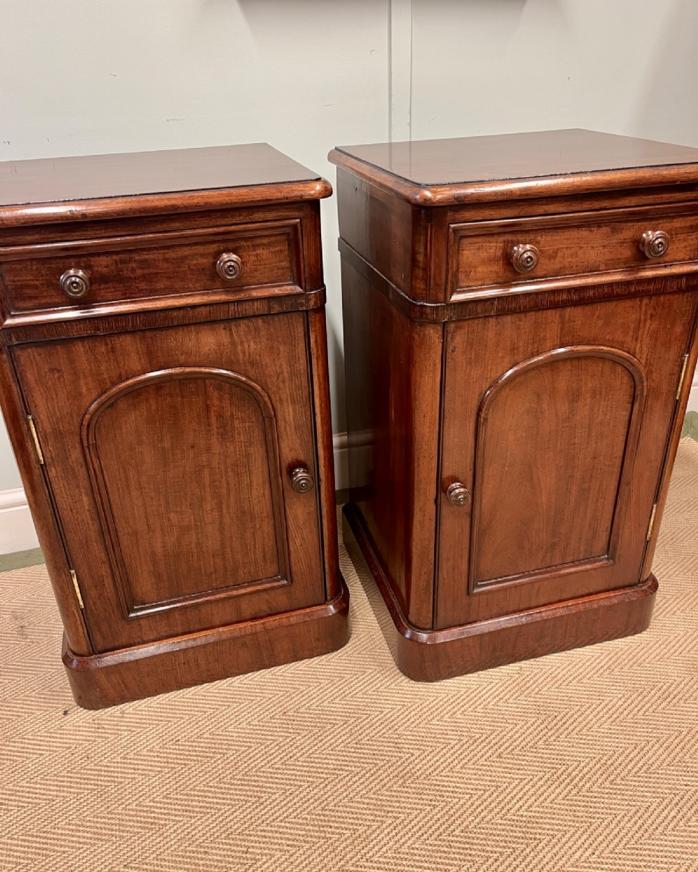 A matching pair of 19th-century polished mahogany bedside cupboards featuring top drawers, arched panel doors, and plinth bases. View II