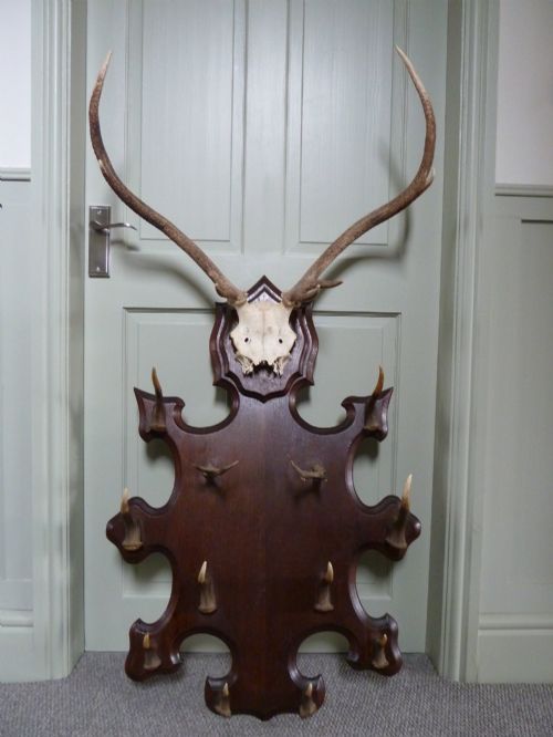 Victorian Country House Stags Horn Hallstand/coat Rack