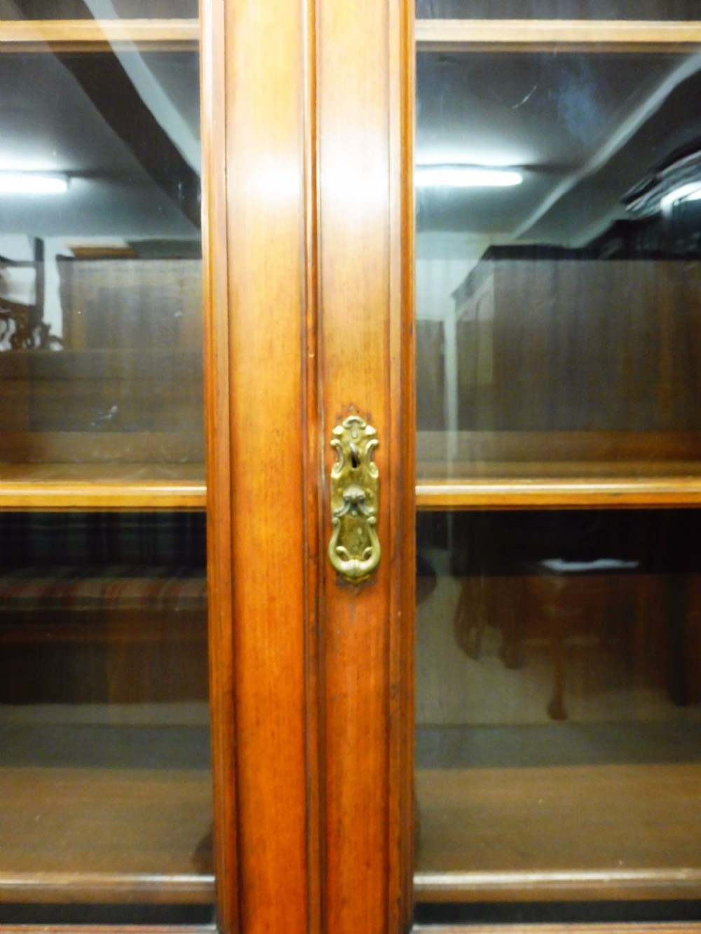 19TH CENTURY WALNUT BOOKCASE View V