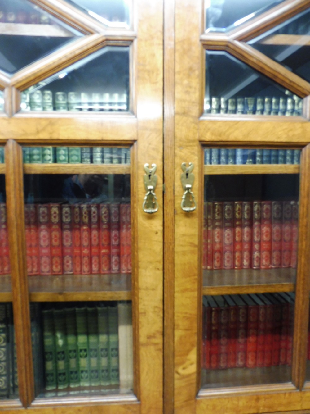 SUPERIOR QUALITY 19TH CENTURY OAK, BURR OAK,AND  POLLARD OAK BOOKCASE View XIX