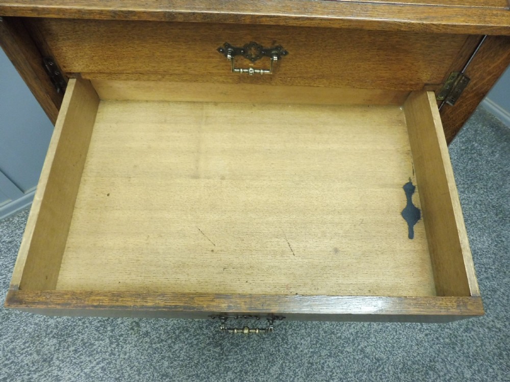 EDWARDIAN OAK WELLINGTON COLLECTORS CHEST View VII