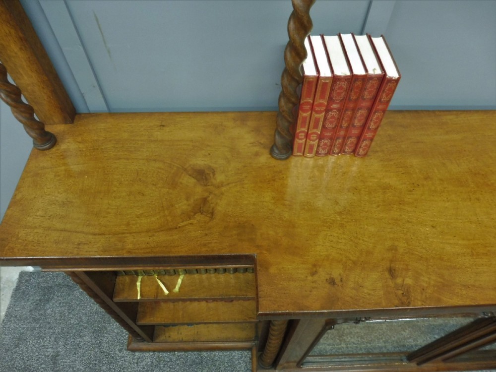 UNUSUAL OAK AND POLLARD OAK 19TH CENTURY BOOKCASE View VI