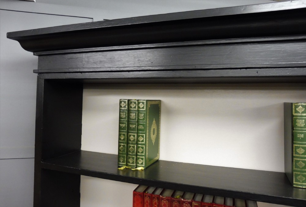 LARGE 19TH CENTURY PAINTED PINE LIBRARY BOOKCASE View VIII