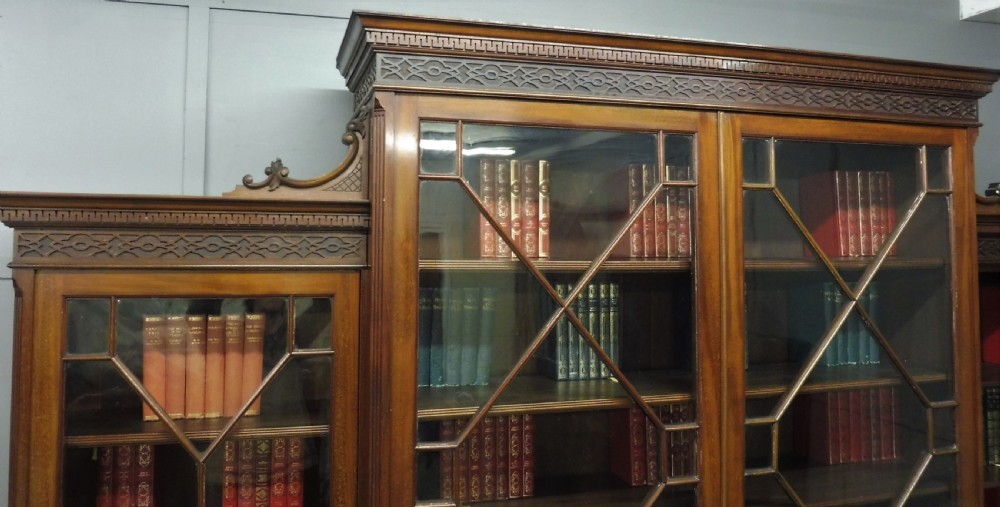 LARGE 19TH CENTURY COUNTRY HOUSE BOOKCASE View XII