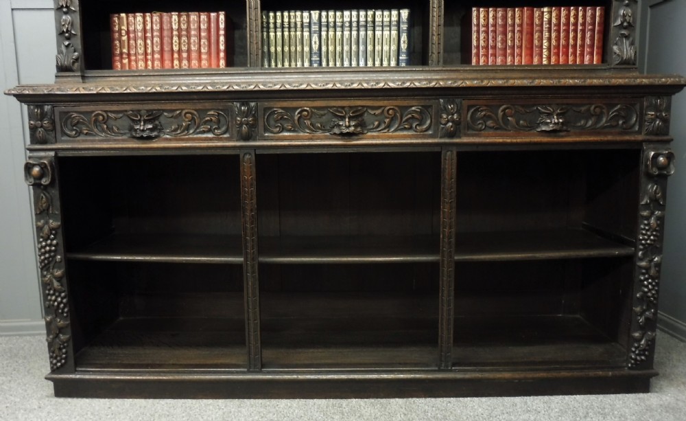 LARGE RUSTIC 19TH CENTURY GREEN MAN BOOKCASE View VI