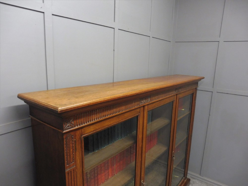 EDWARDIAN OAK BOOKCASE View VI