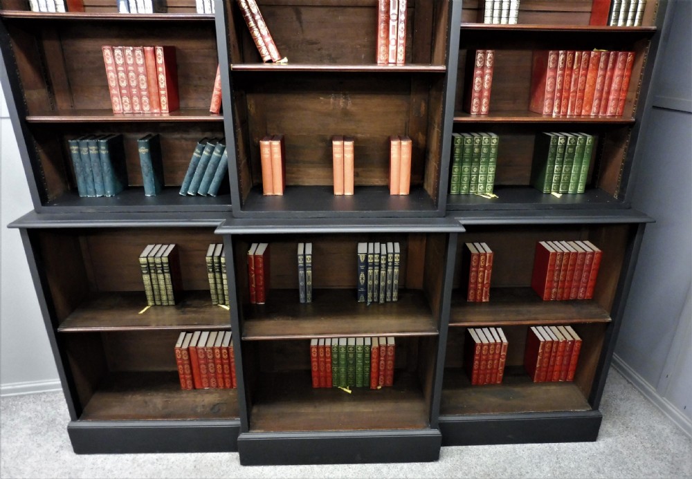 LARGE RUSTIC VICTORIAN PAINTED BOOKCASE View VII