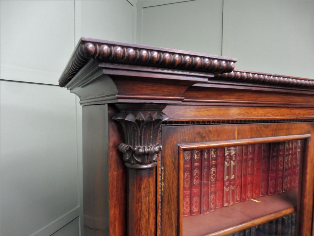 EARLY 19TH CENTURY ROSEWOOD BOOKCASE View XII