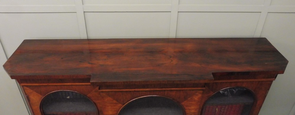 19TH CENTURY ROSEWOOD BOOKCASE View V