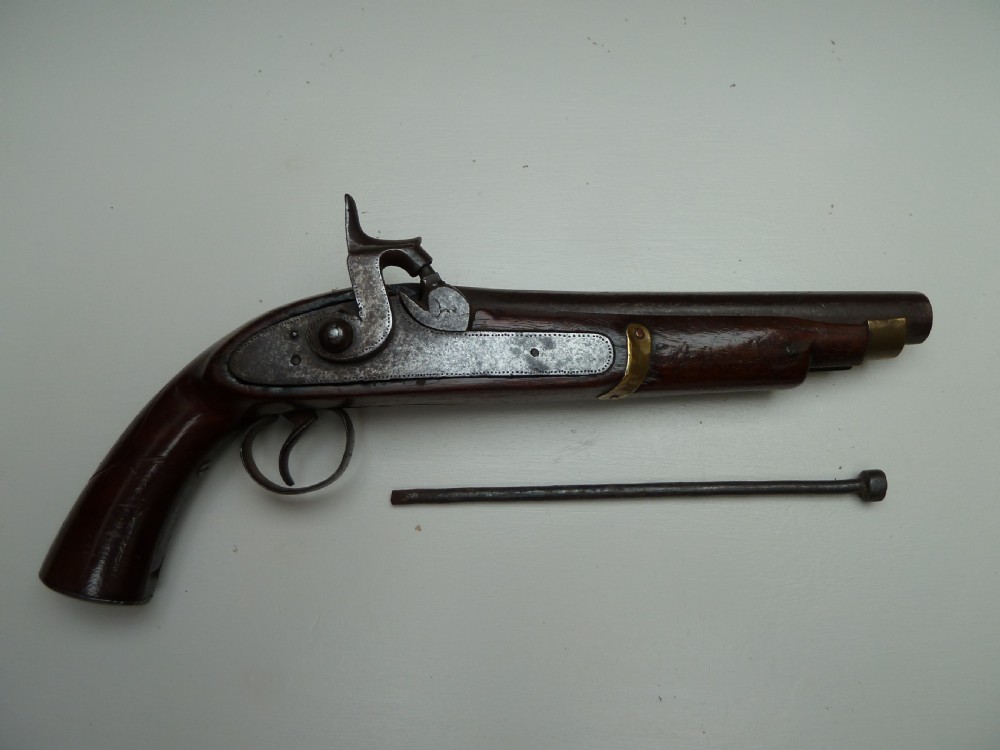 A 19th-century single-barrel percussion cap pistol featuring a dark wood stock, steel lock mechanism, and brass mountings. View XI