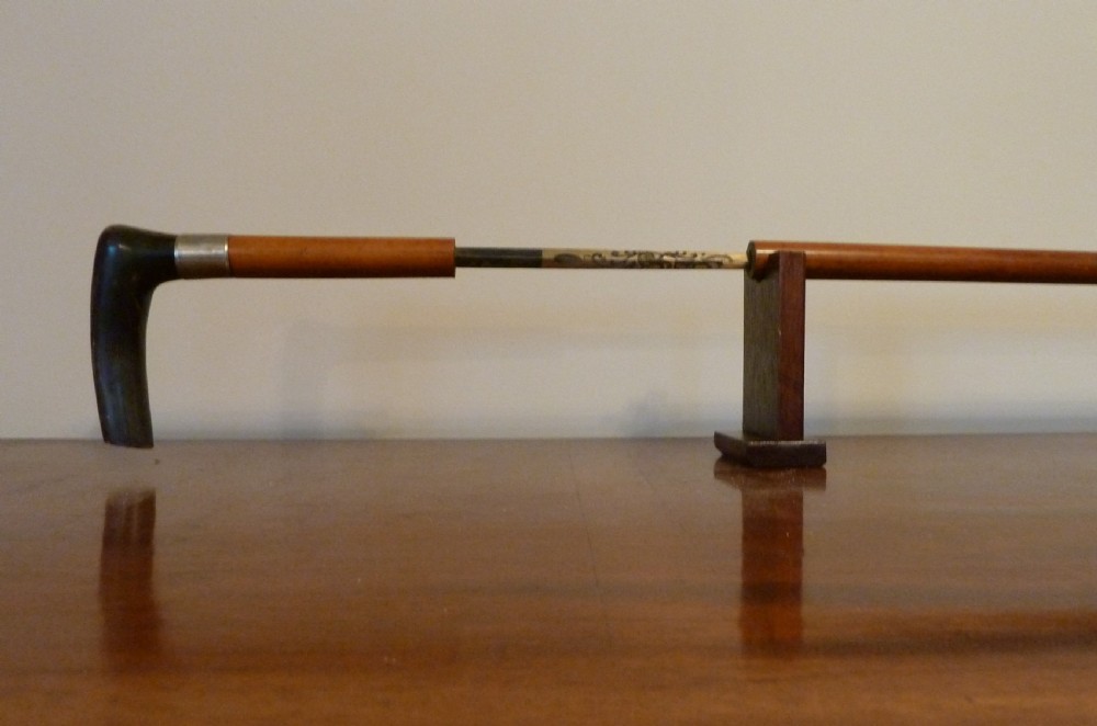 19TH CENTURY SWORDSTICK View VII