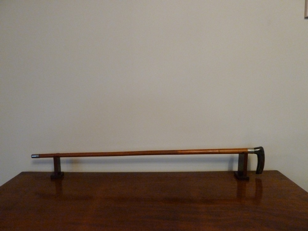 19TH CENTURY SWORDSTICK View XIII