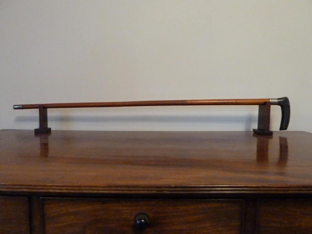 19TH CENTURY SWORDSTICK View XIV