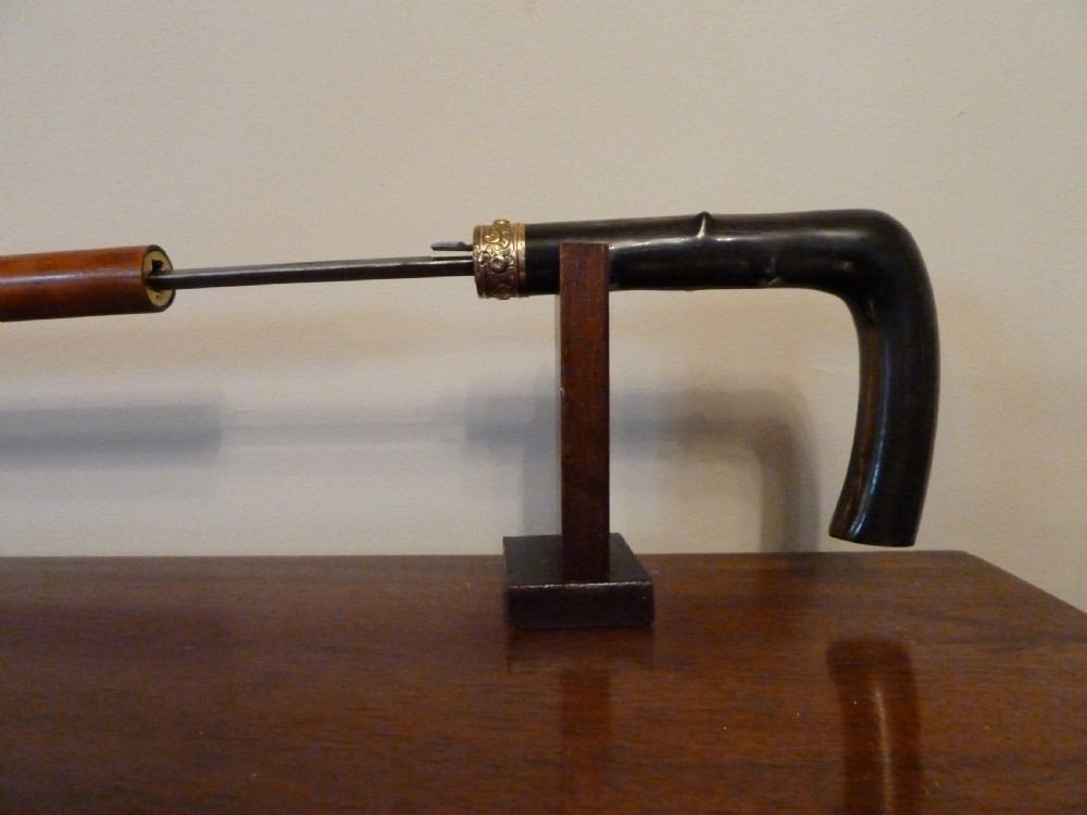 19TH CENTURY SWORDSTICK View VII