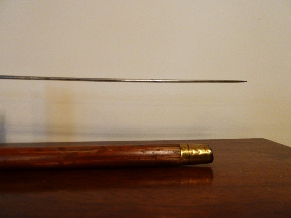 19TH CENTURY SWORDSTICK View XI