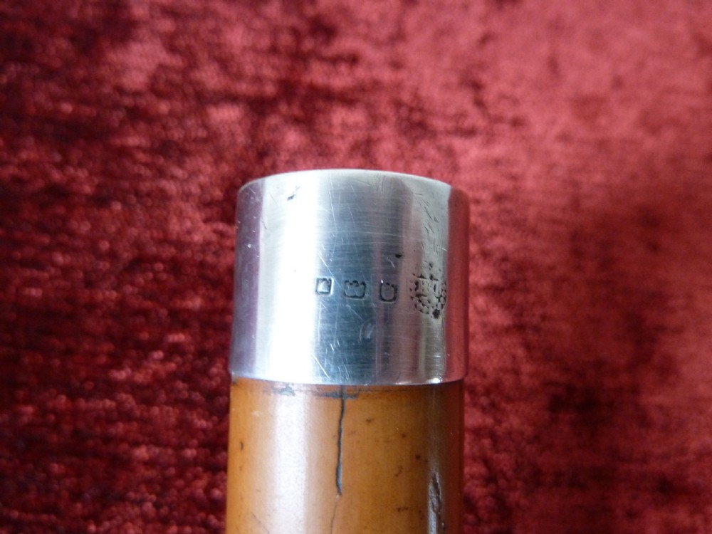 SILVER MOUNTED MALACCA SWORD STICK View VI