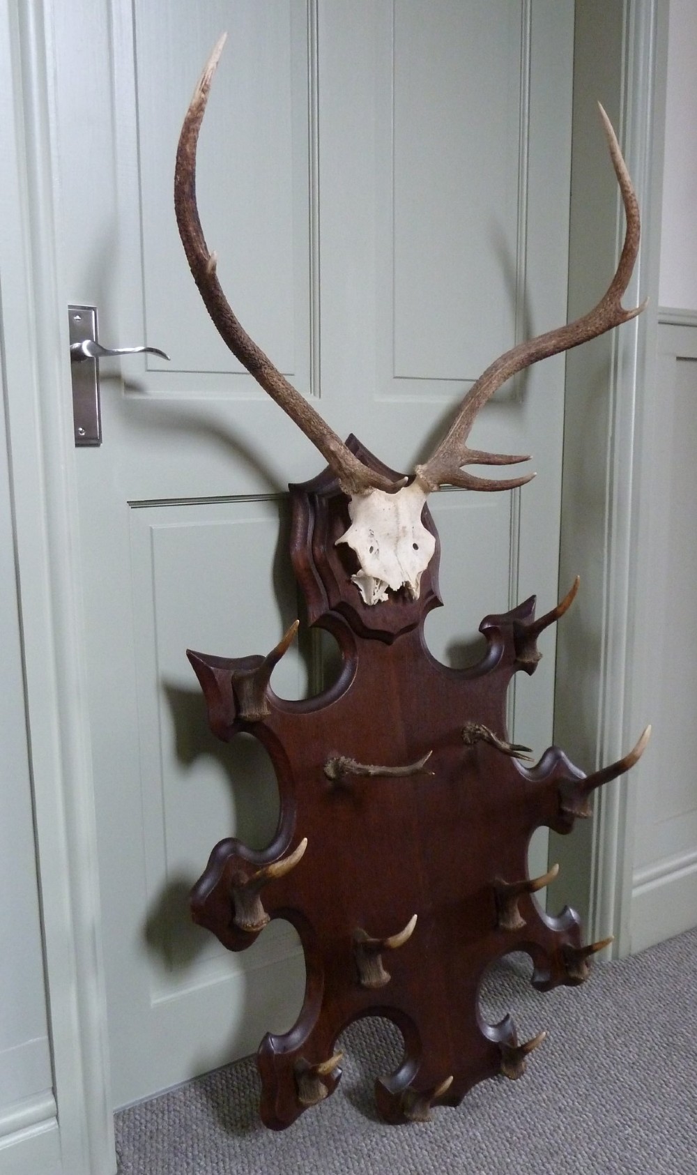 A dark carved oak backboard mounted with a stag skull and multiple small antler hooks for hanging coats. View II
