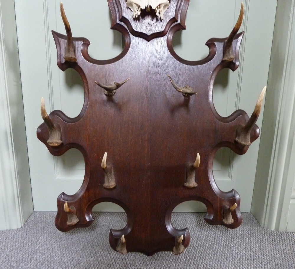 A dark carved oak backboard mounted with a stag skull and multiple small antler hooks for hanging coats. View IV