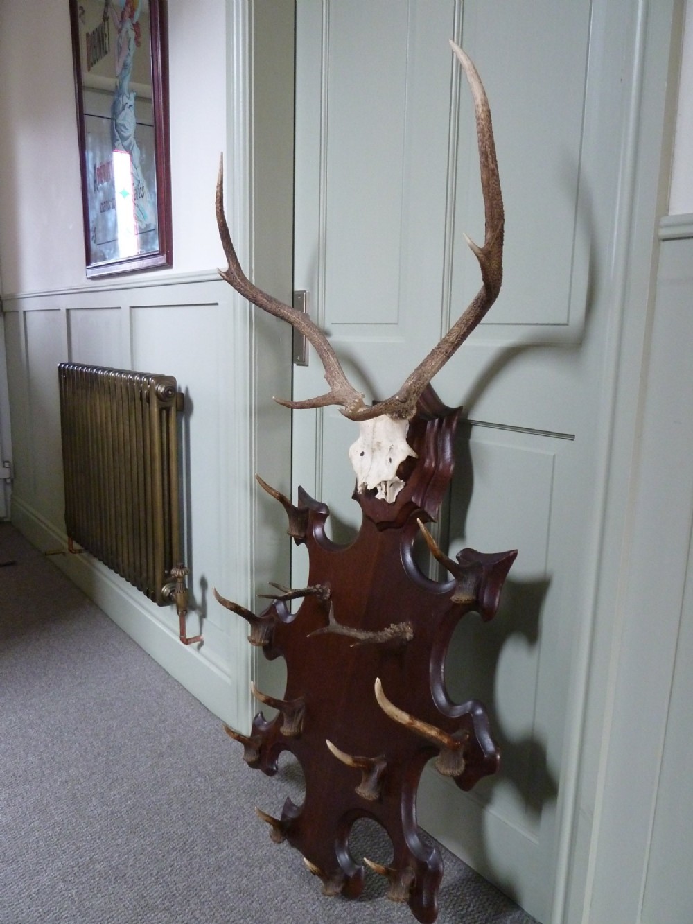 A dark carved oak backboard mounted with a stag skull and multiple small antler hooks for hanging coats. View V