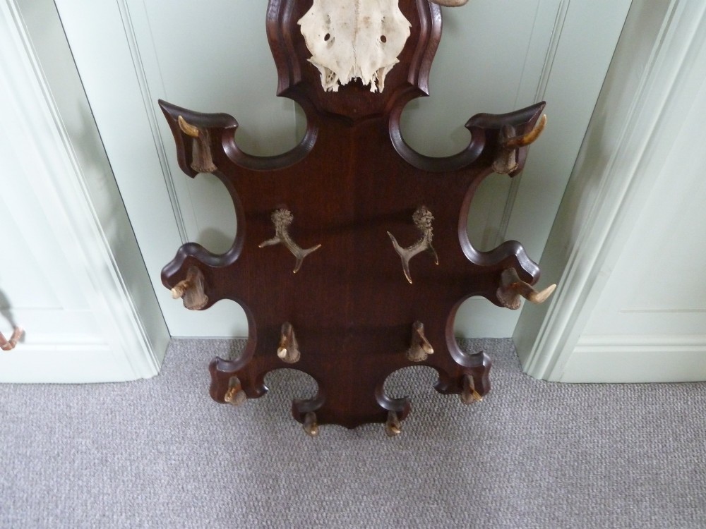 A dark carved oak backboard mounted with a stag skull and multiple small antler hooks for hanging coats. View VII
