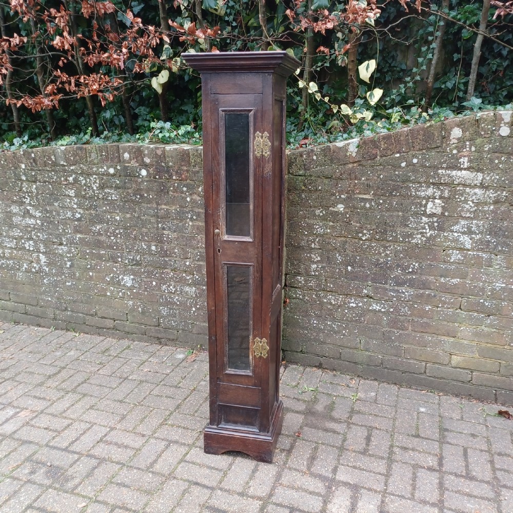 A tall, narrow Victorian dark oak gun cupboard featuring two glass panels set into a single front door with decorative brass hinges.
