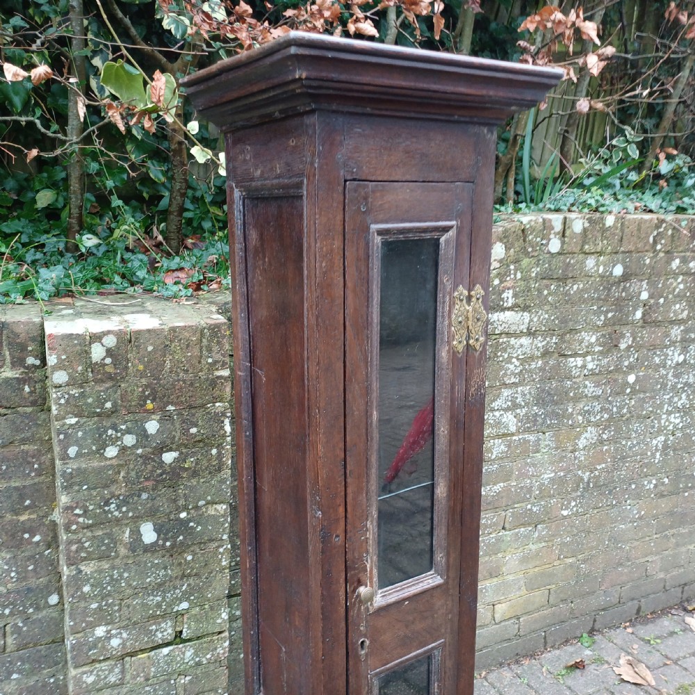 A tall, narrow Victorian dark oak gun cupboard featuring two glass panels set into a single front door with decorative brass hinges. View III